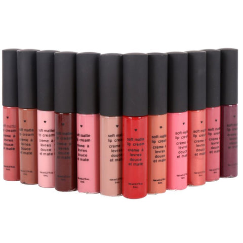 2018 classic value sexy makeup long-lasting matte liquid lipstick and FM63 makeup waterproof matte liquid lip gloss