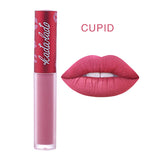 Brand Waterproof Long Lasting Nude Matte Liquid Lipstick Mate Lip Gloss Makeup Lime Kit Lipstick Pencil Cosmetics Set